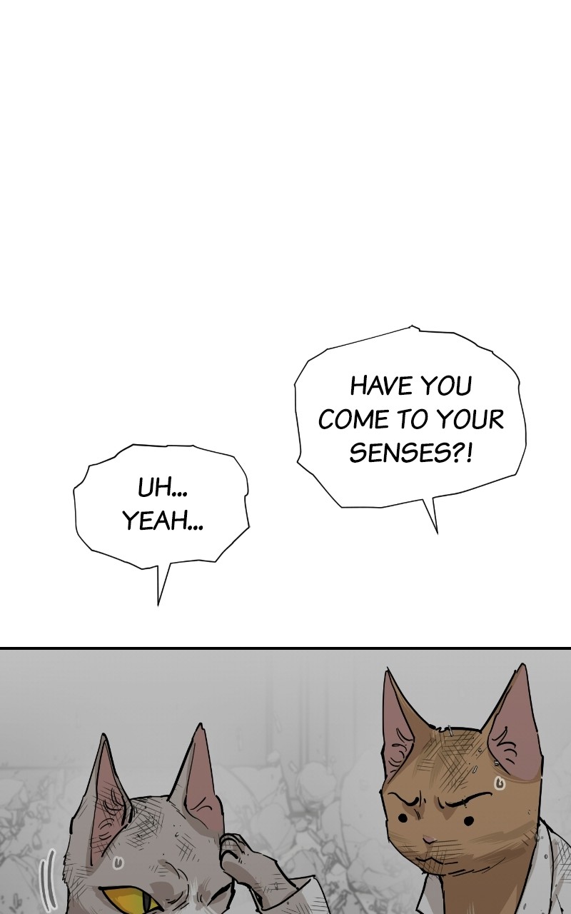 Meow Rangers - Chapter 70