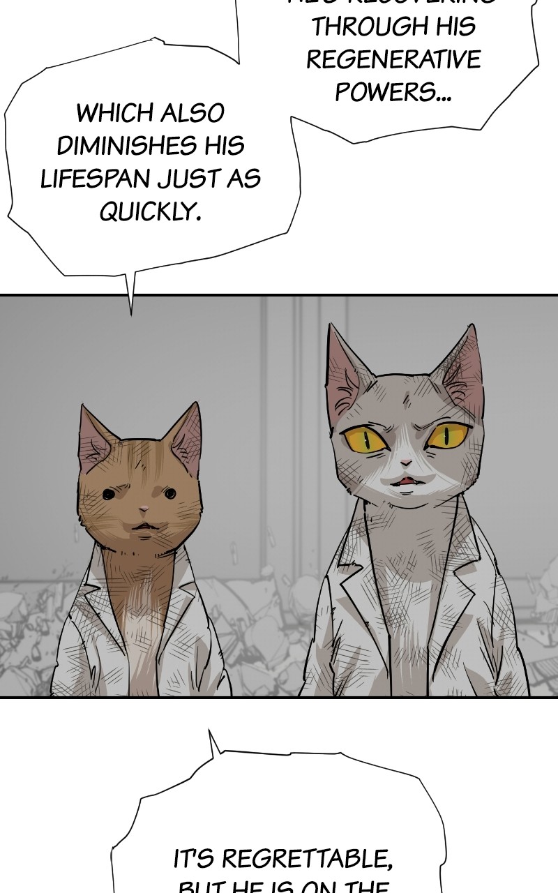 Meow Rangers - Chapter 70