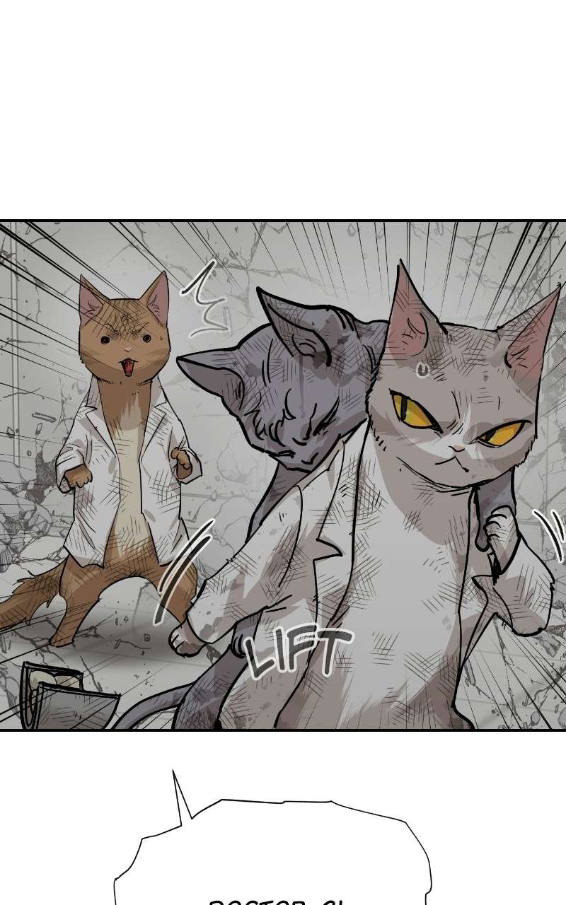 Meow Rangers - Chapter 70