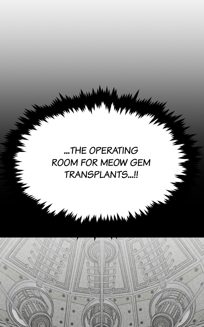 Meow Rangers - Chapter 70