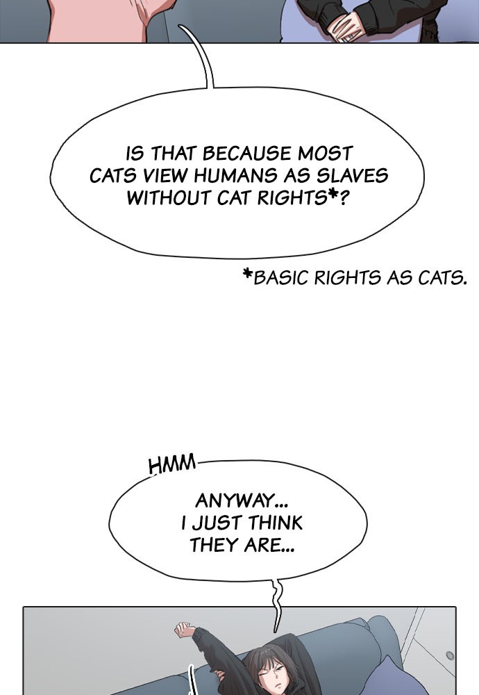 Meow Rangers - Chapter 5