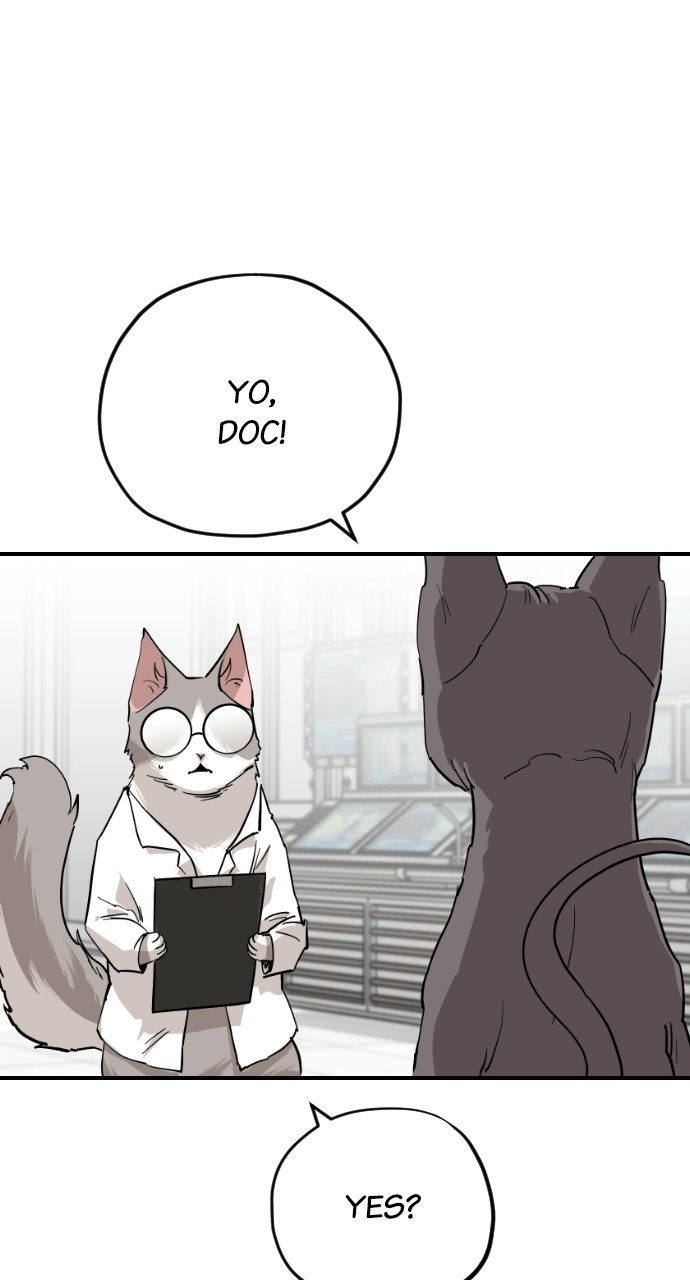 Meow Rangers - Chapter 63