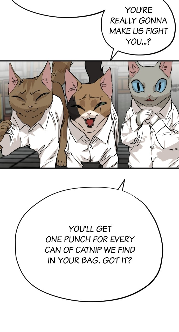 Meow Rangers - Chapter 63