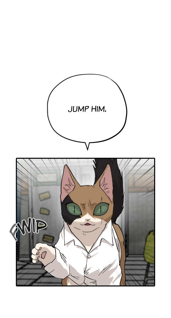 Meow Rangers - Chapter 63