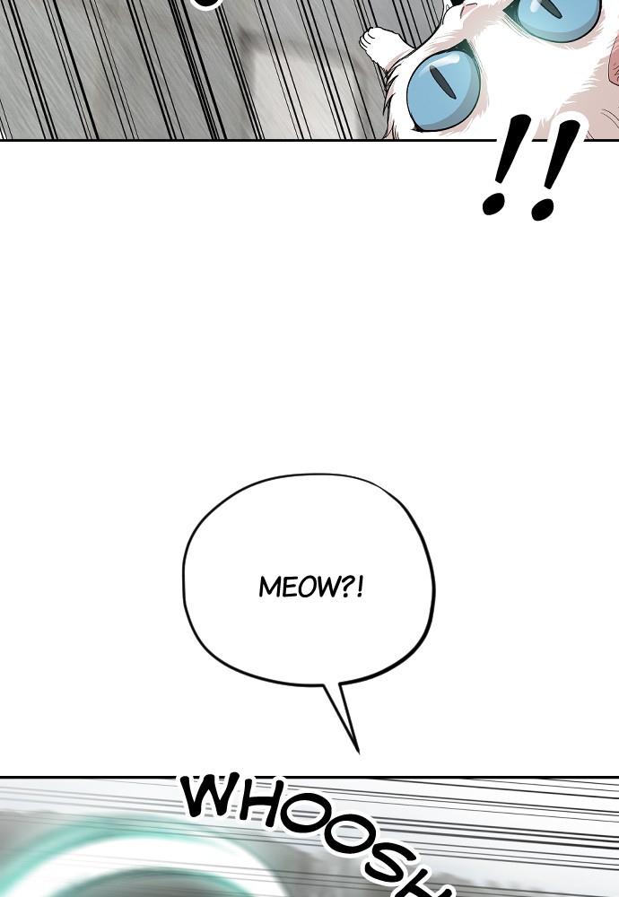 Meow Rangers - Chapter 24