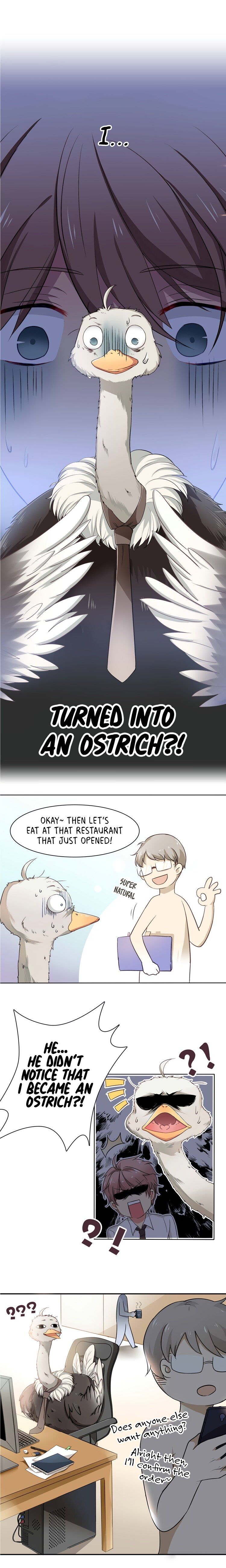 Mr. Ostrich - Chapter 1