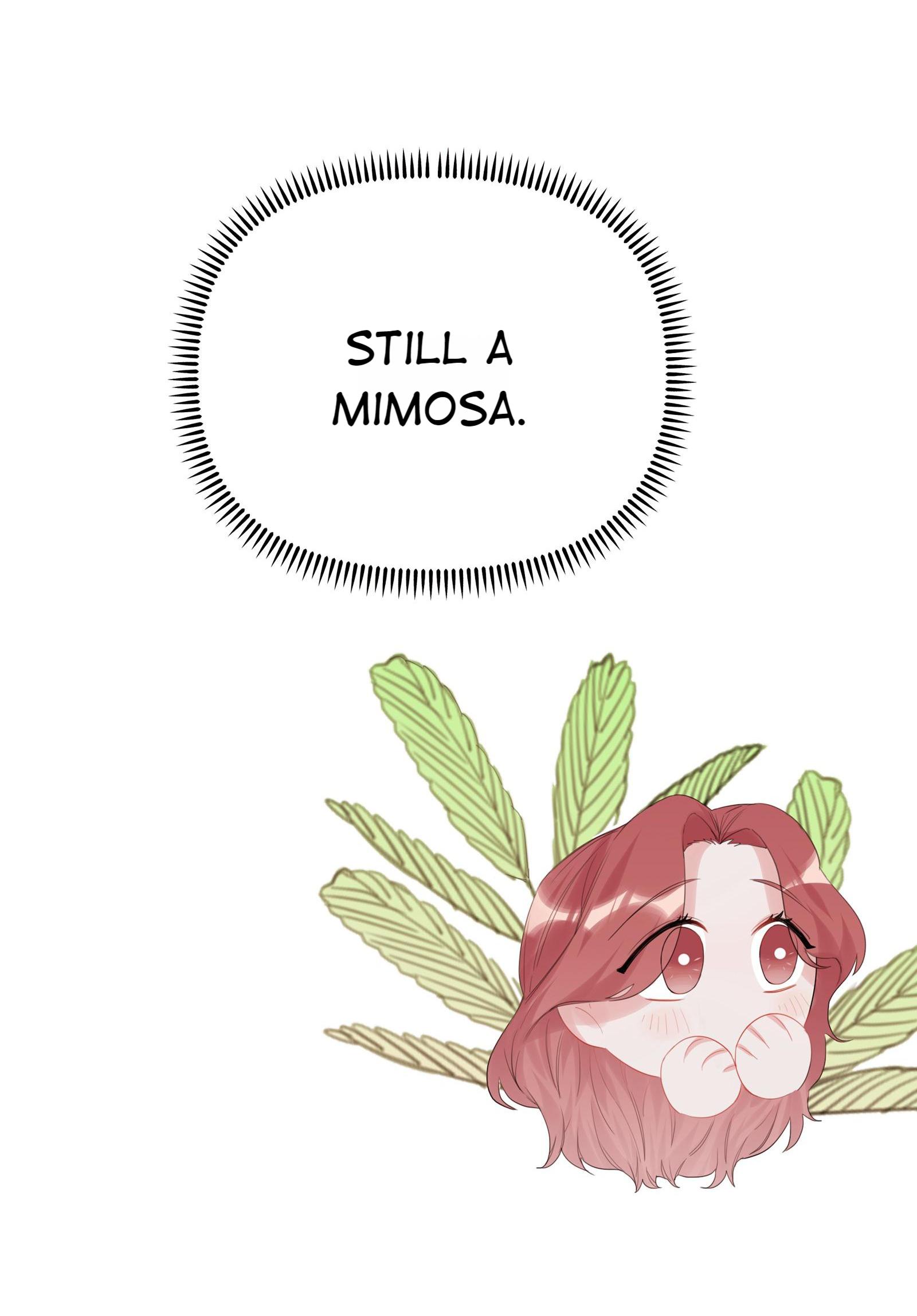 Romance Of The Stars - Chapter 16: Still A Mimosa