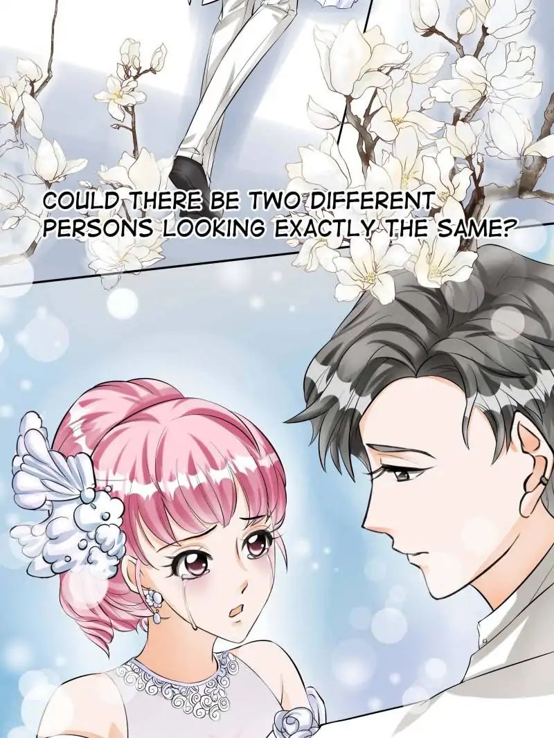 Warlord Husband: Shenshen Is Gonna Be The Winner - Chapter 24