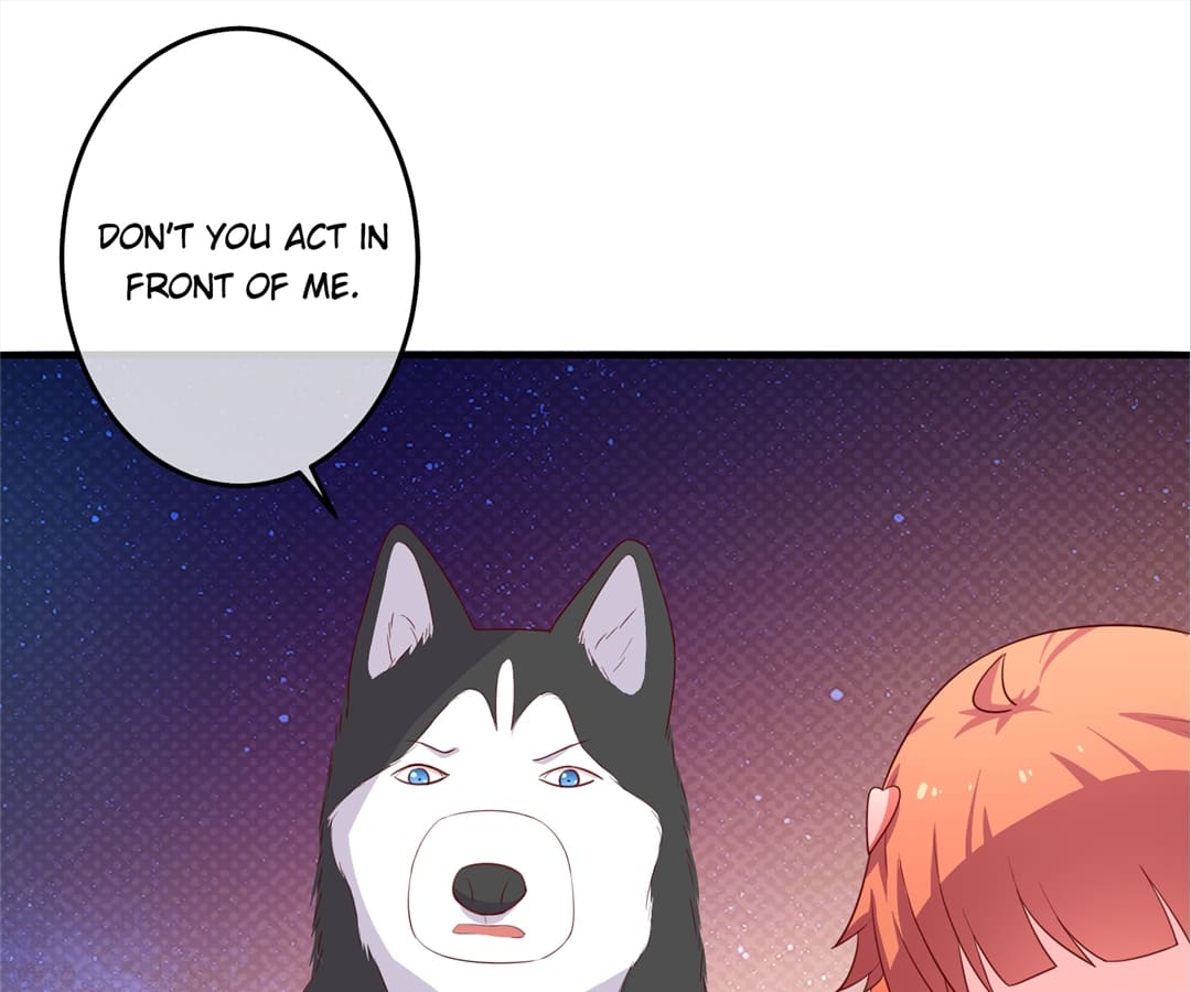 Witch’s Husky Husband - Chapter 24