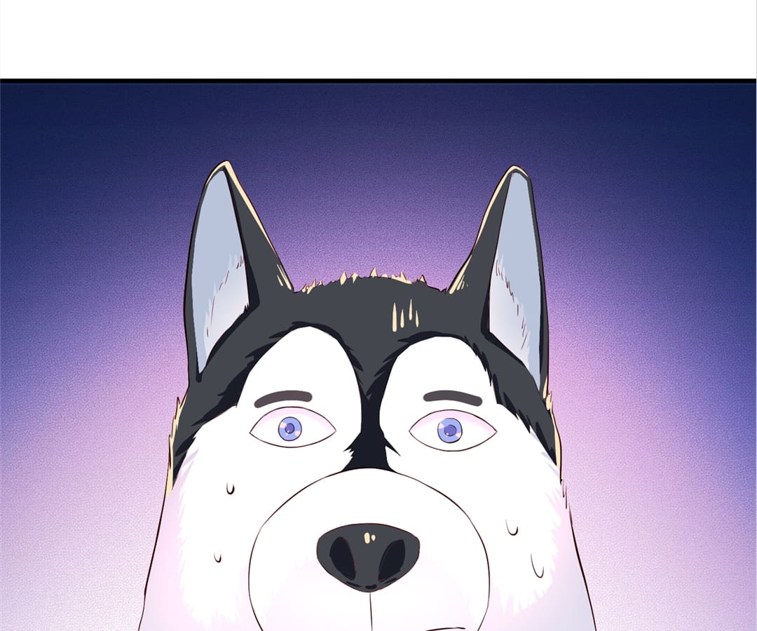 Witch’s Husky Husband - Chapter 2