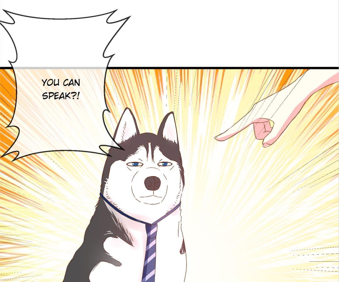 Witch’s Husky Husband - Chapter 10