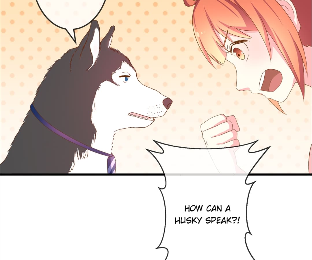 Witch’s Husky Husband - Chapter 10