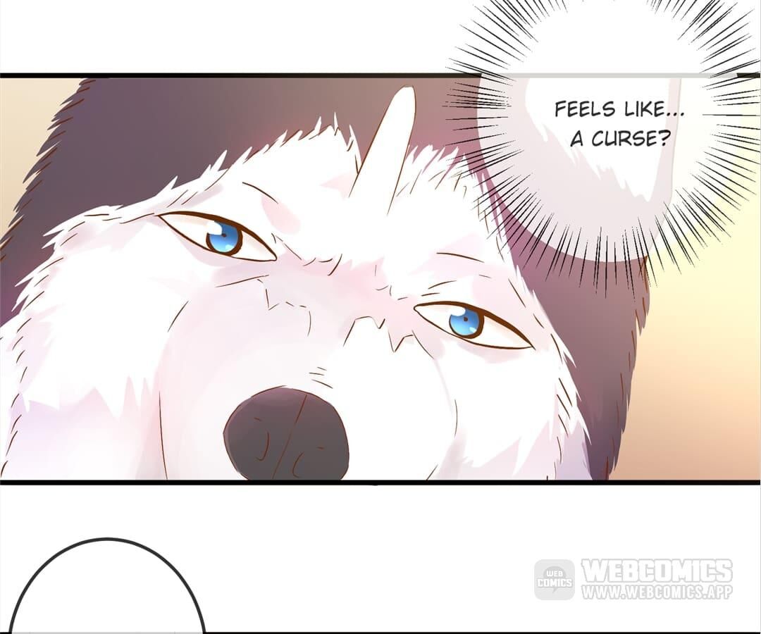 Witch’s Husky Husband - Chapter 10