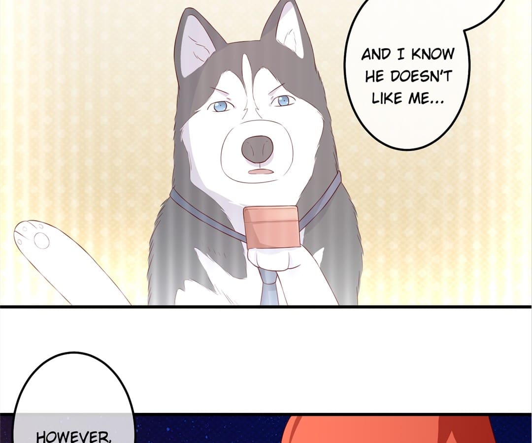 Witch’s Husky Husband - Chapter 26