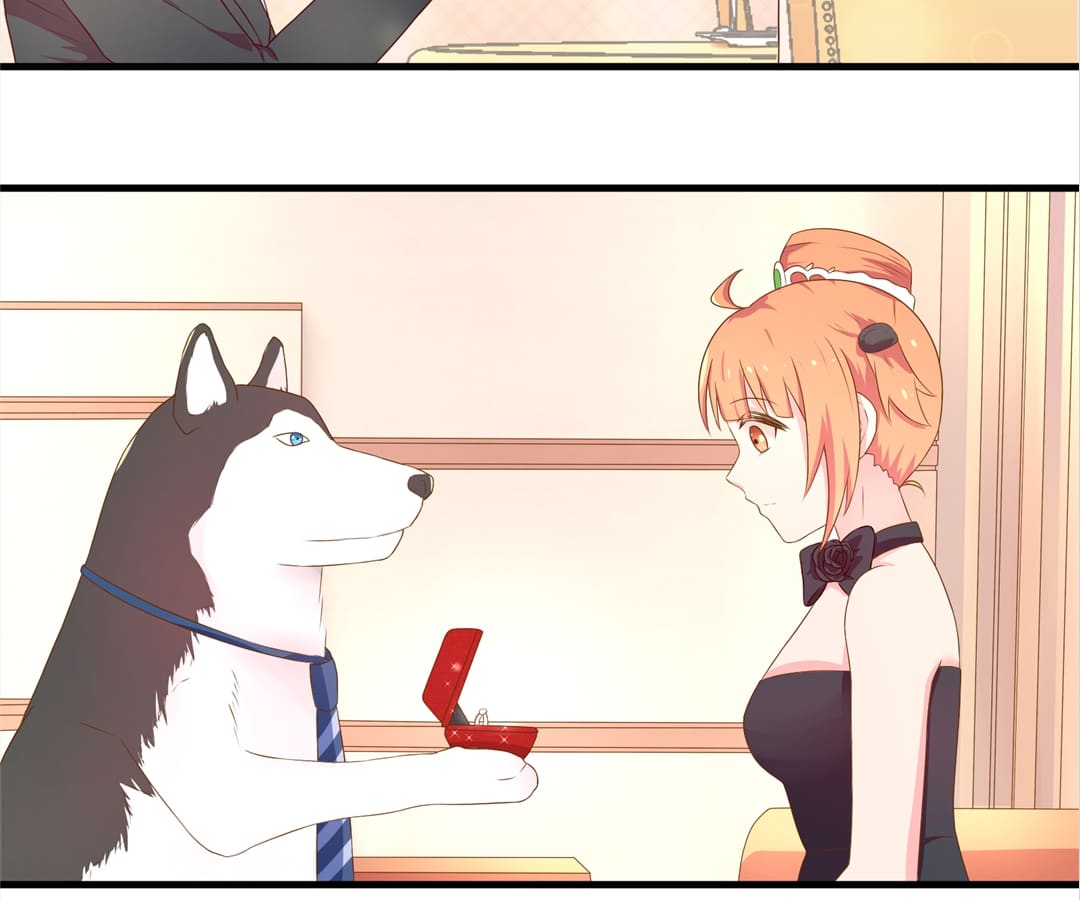 Witch’s Husky Husband - Chapter 11