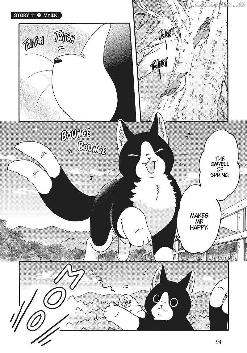 Breakfast With My Two-Tailed Cat - Chapter 7