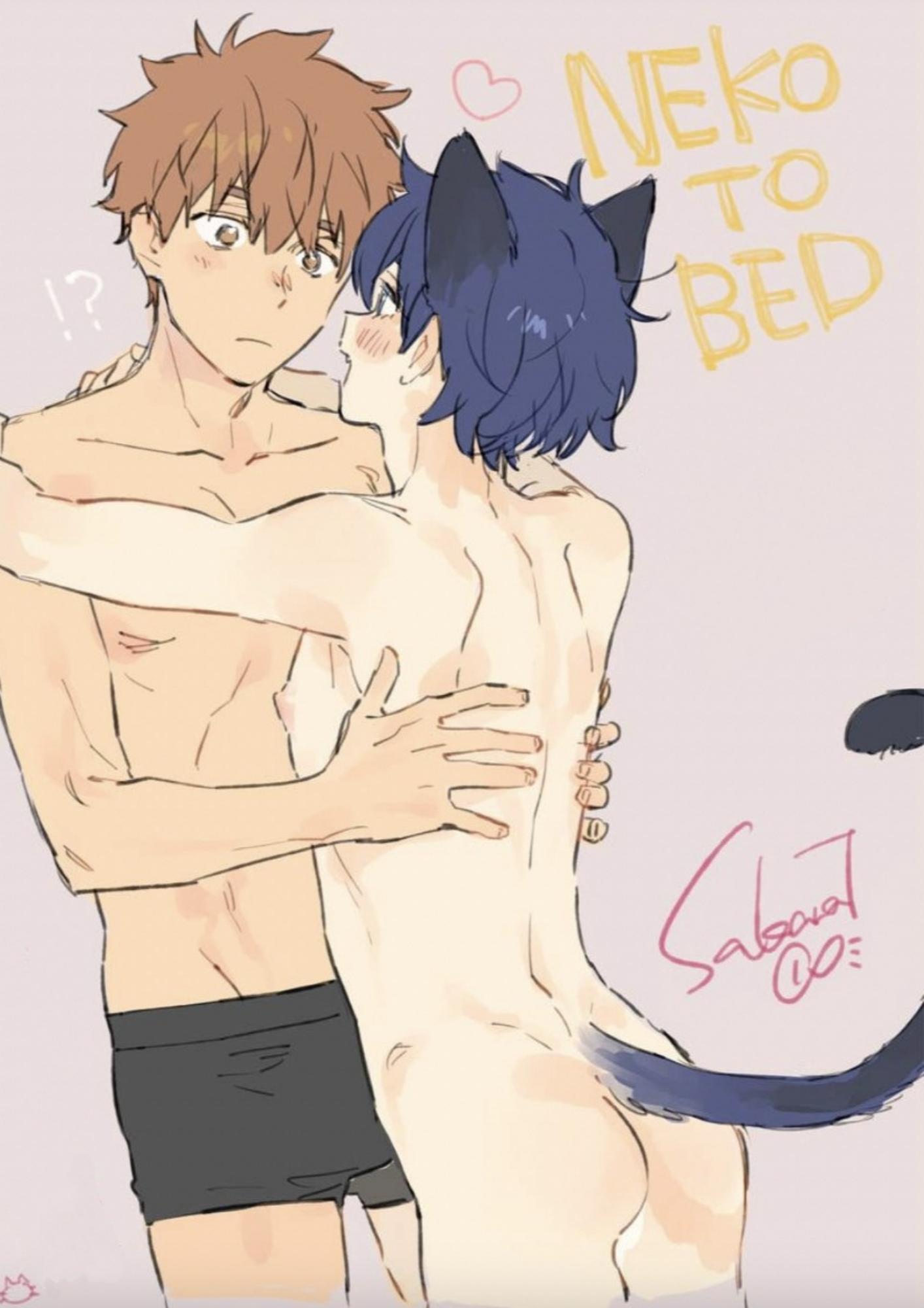 Cat And Bed - Side.2