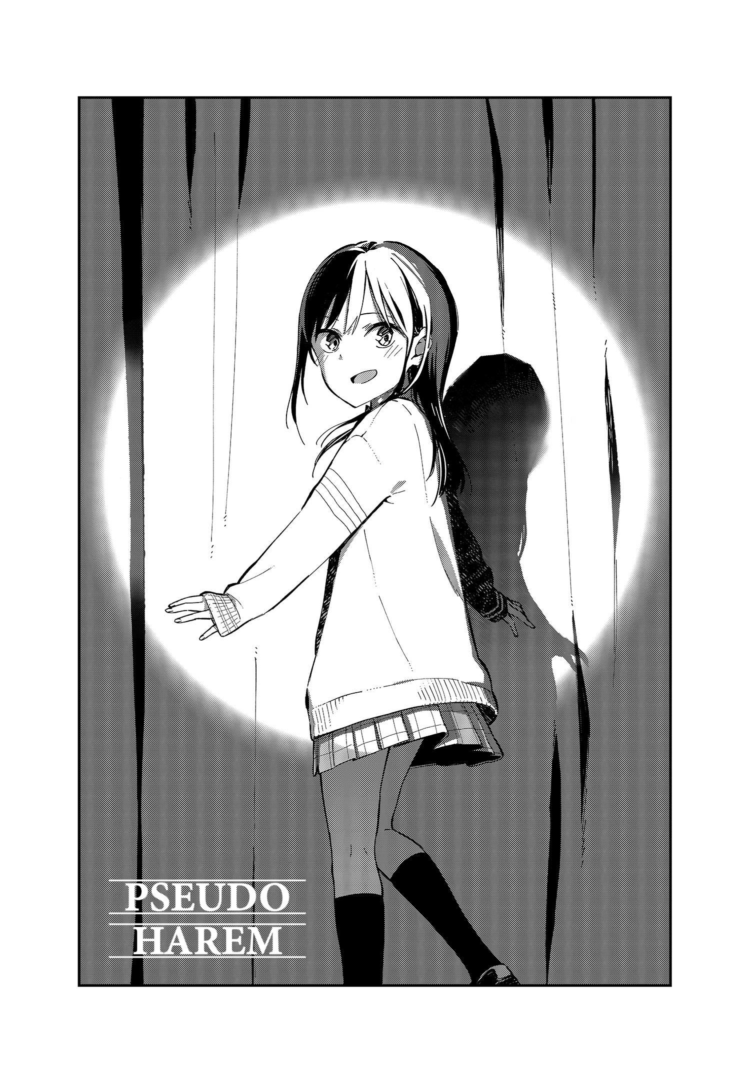 Pseudo Harem - Vol.1 Chapter 30.6: Volume 1 Extra