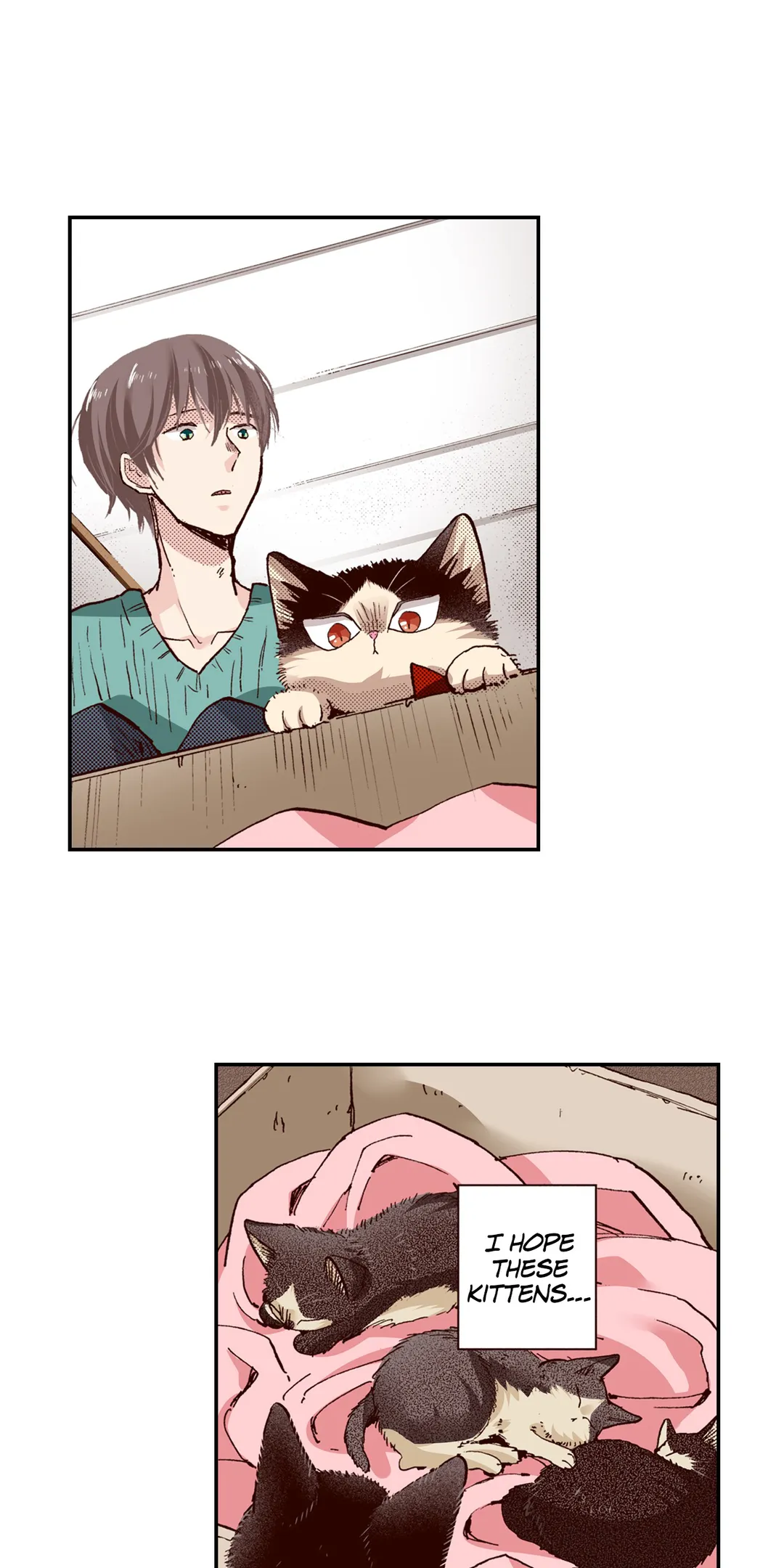 My Roommate Is A Cat - Chapter 64