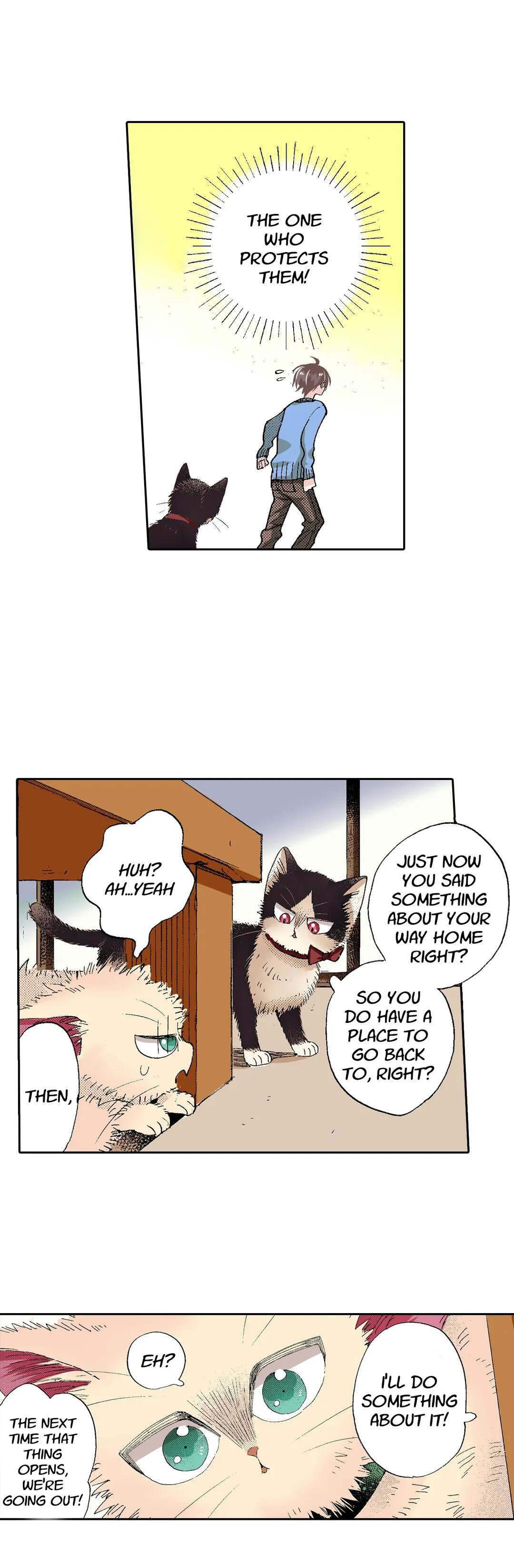 My Roommate Is A Cat - Chapter 55