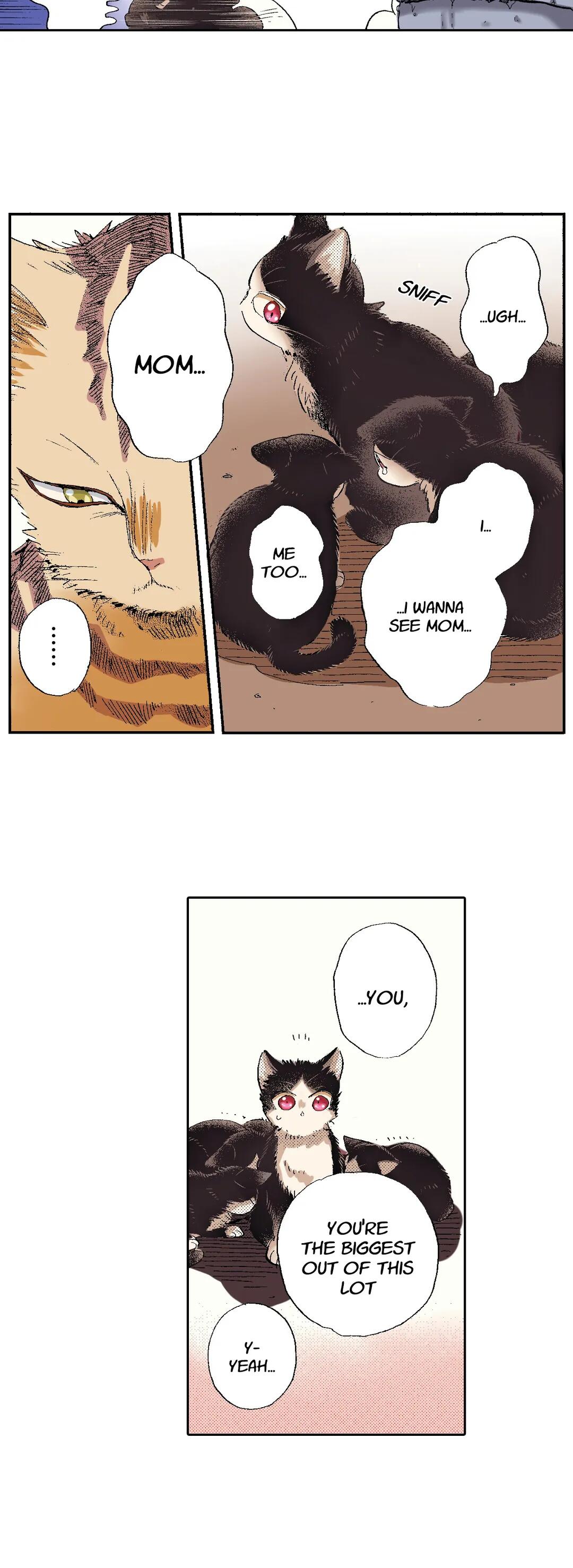 My Roommate Is A Cat - Chapter 49