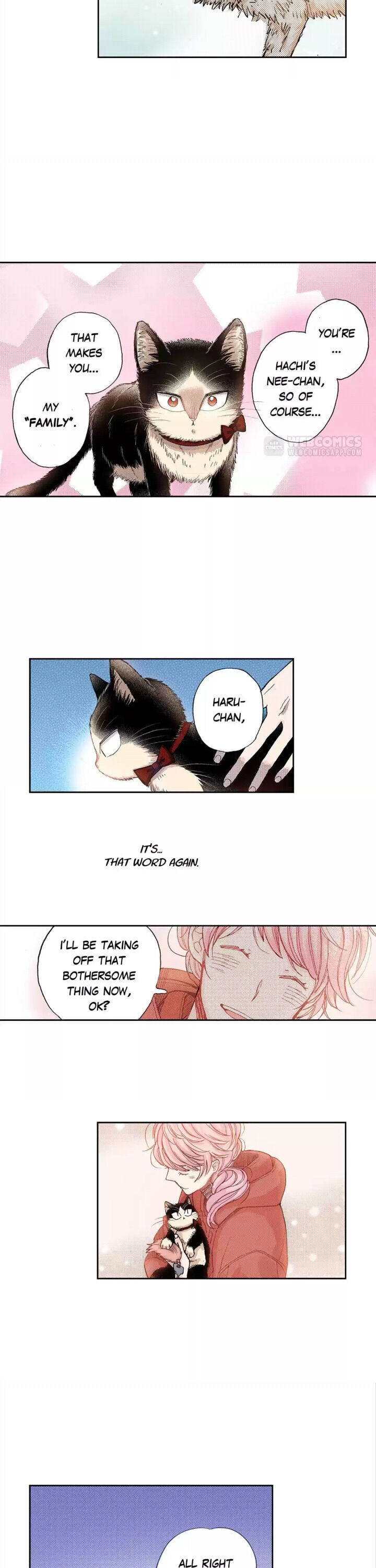 My Roommate Is A Cat - Chapter 31