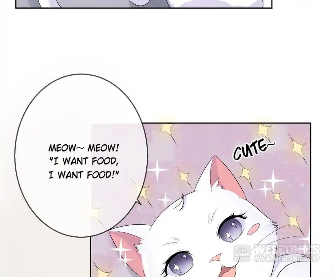 Popular Deskmate Is A Cat - Chapter 35