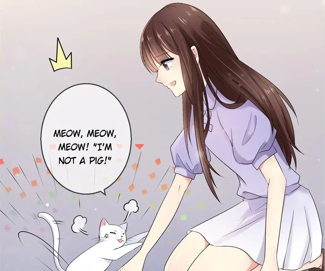 Popular Deskmate Is A Cat - Chapter 35