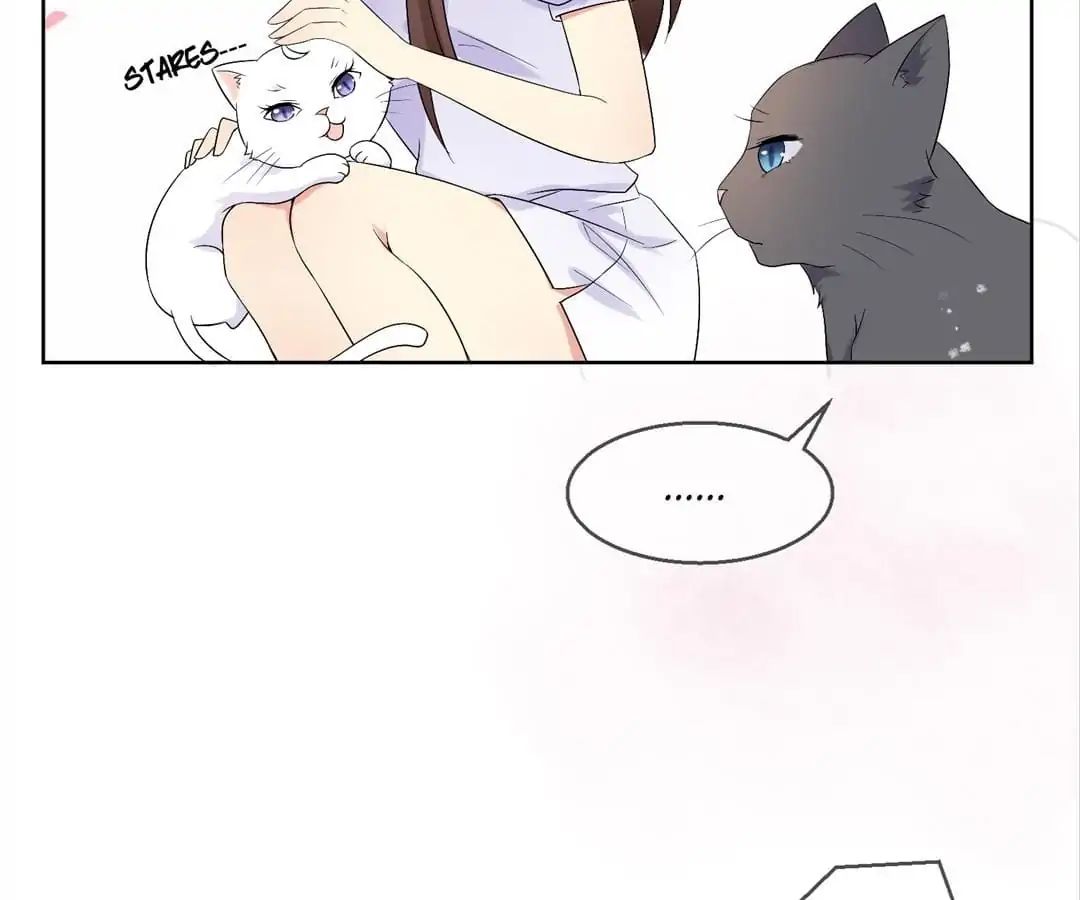 Popular Deskmate Is A Cat - Chapter 35