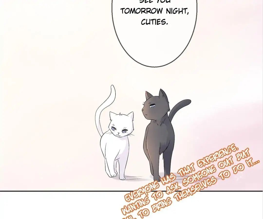 Popular Deskmate Is A Cat - Chapter 35