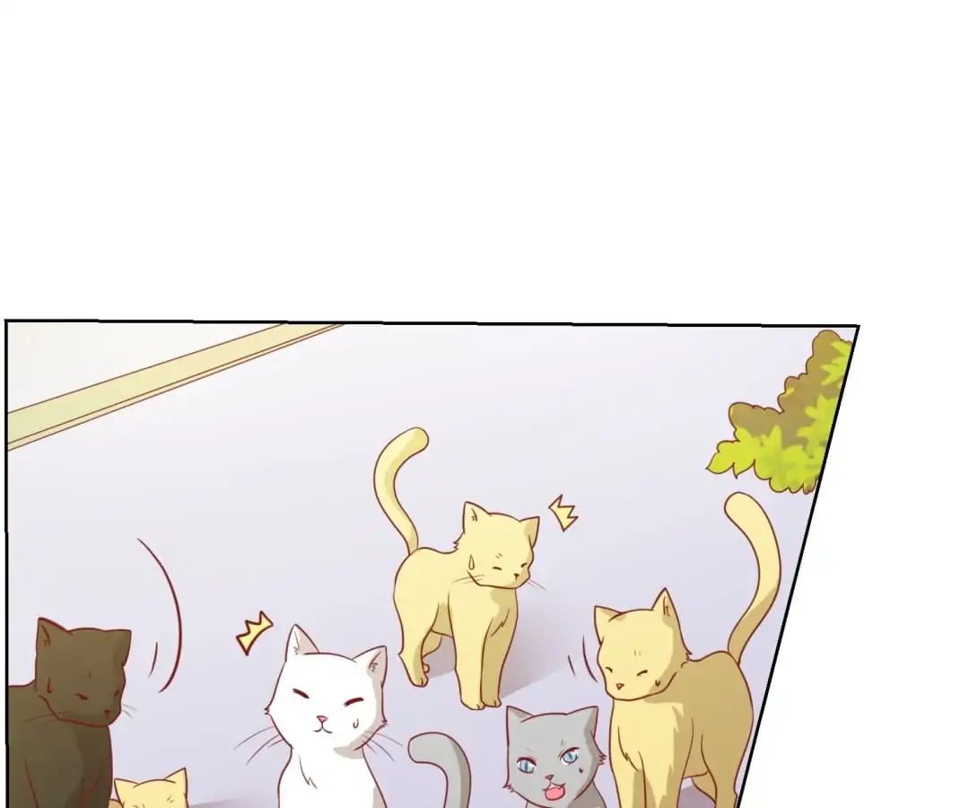 Popular Deskmate Is A Cat - Chapter 46