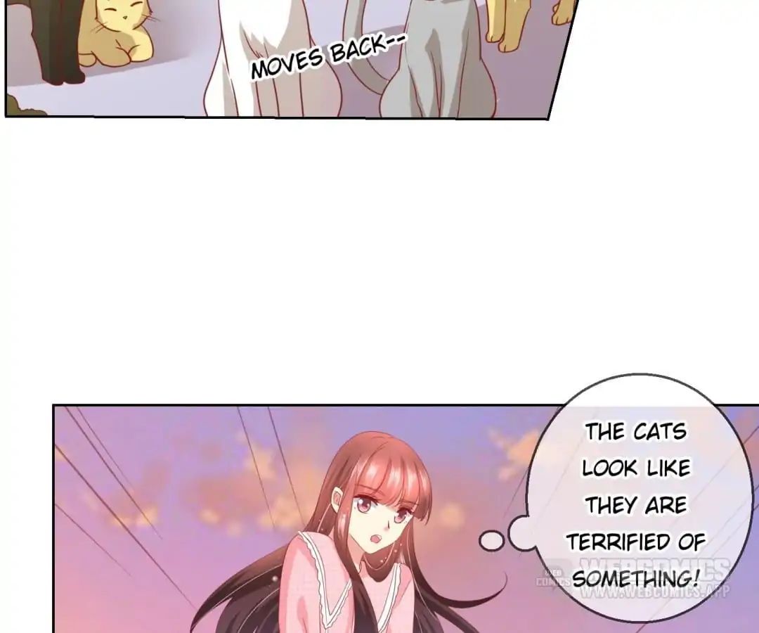 Popular Deskmate Is A Cat - Chapter 46