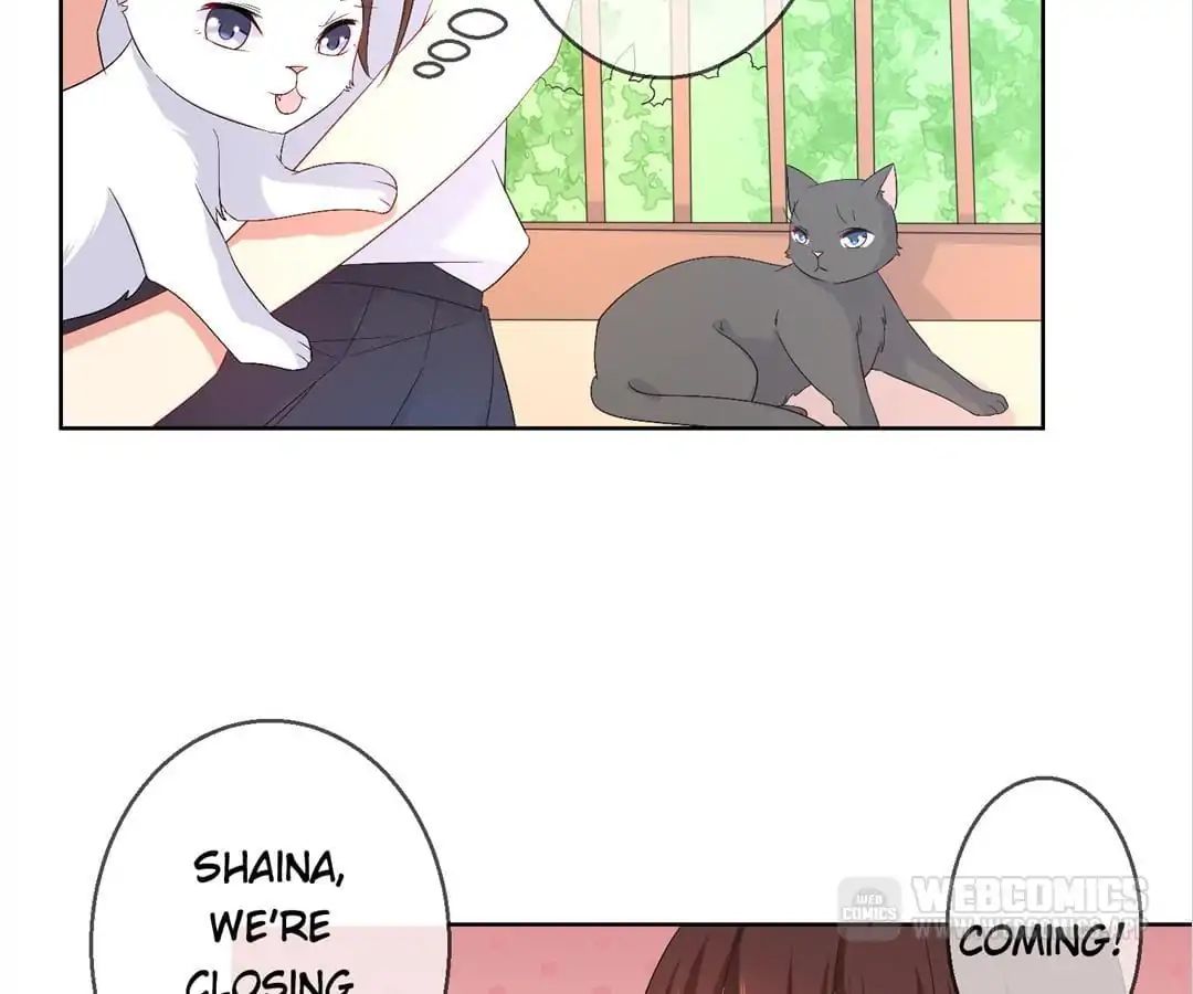 Popular Deskmate Is A Cat - Chapter 27