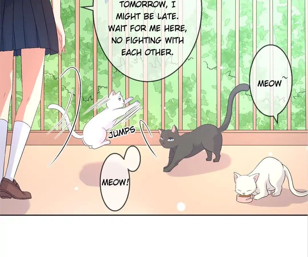 Popular Deskmate Is A Cat - Chapter 27