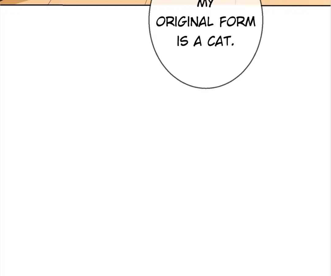 Popular Deskmate Is A Cat - Chapter 78