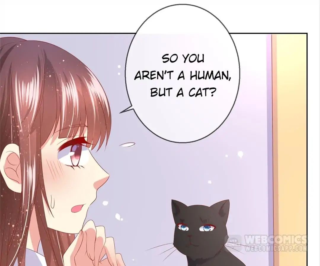 Popular Deskmate Is A Cat - Chapter 78