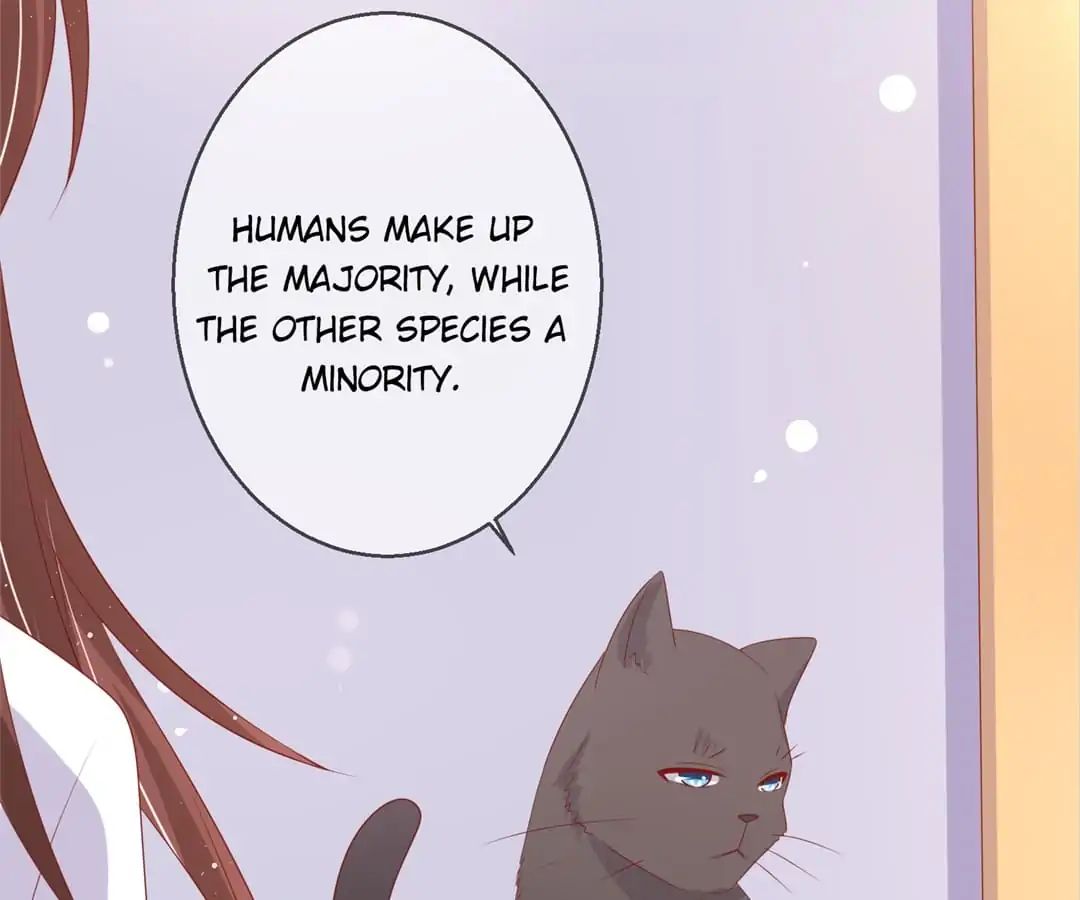 Popular Deskmate Is A Cat - Chapter 78