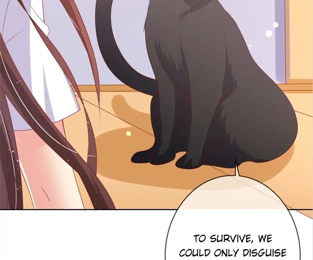 Popular Deskmate Is A Cat - Chapter 78