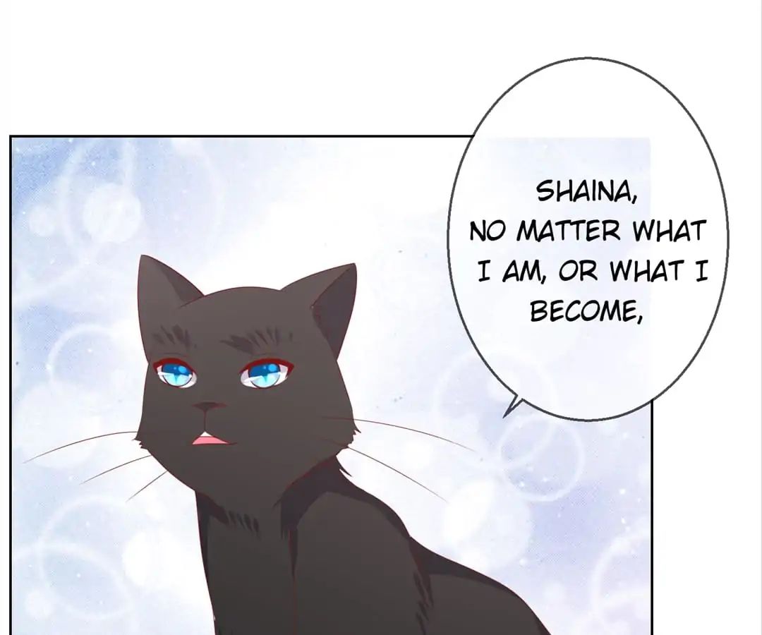 Popular Deskmate Is A Cat - Chapter 78