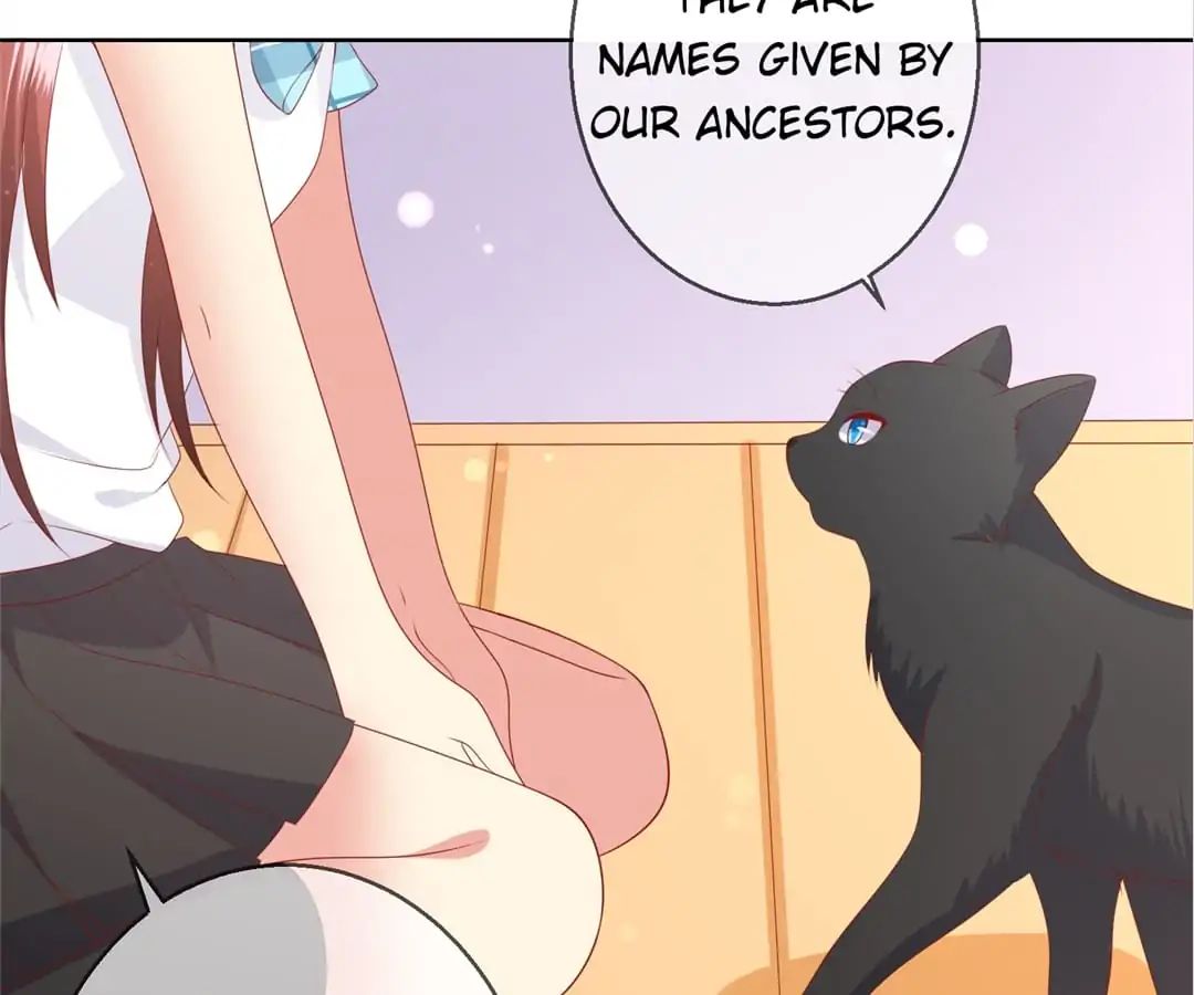 Popular Deskmate Is A Cat - Chapter 78