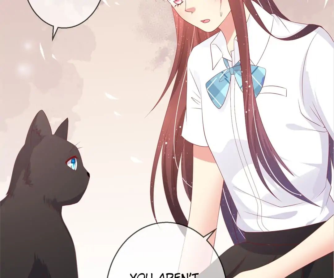 Popular Deskmate Is A Cat - Chapter 78