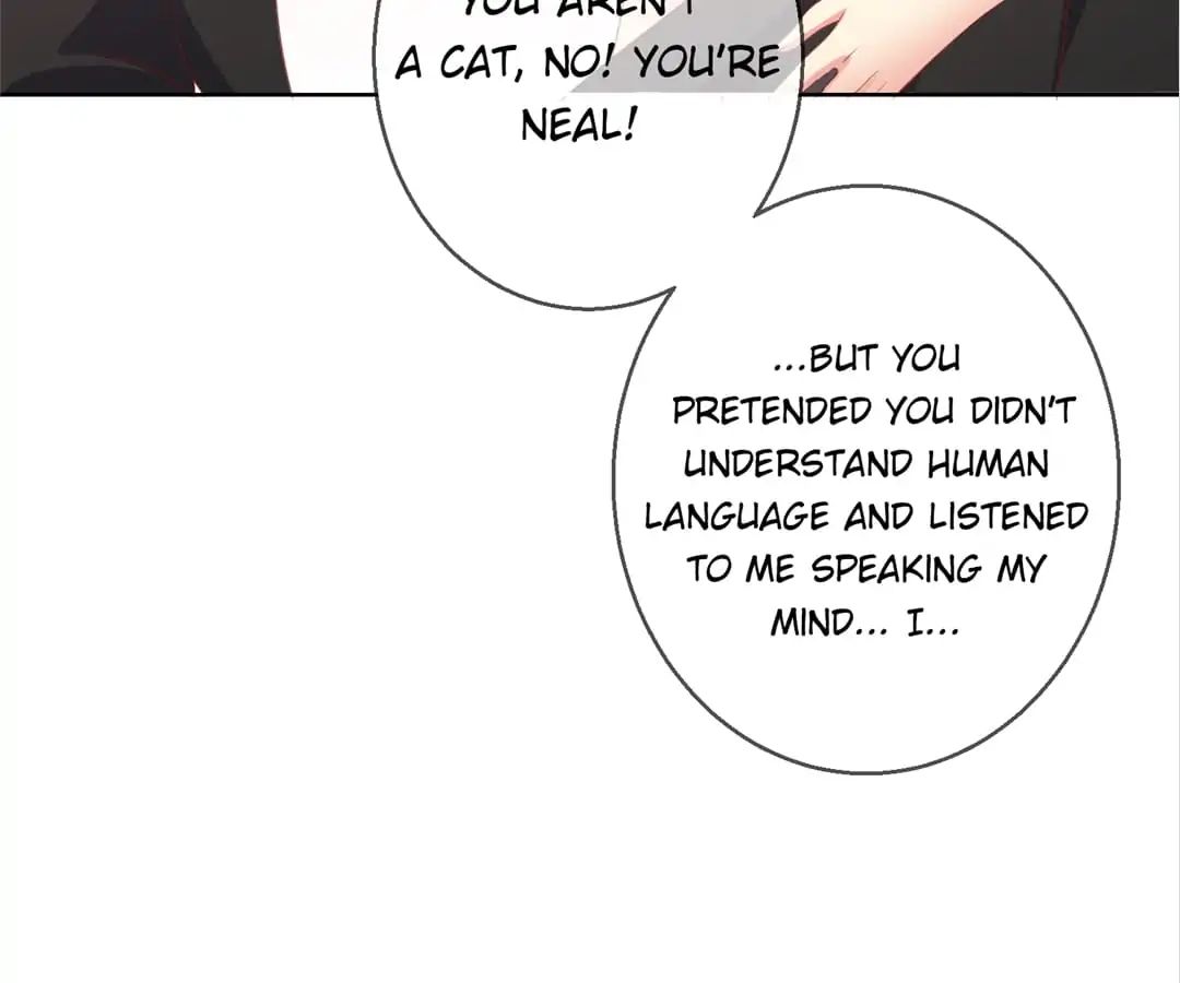 Popular Deskmate Is A Cat - Chapter 78