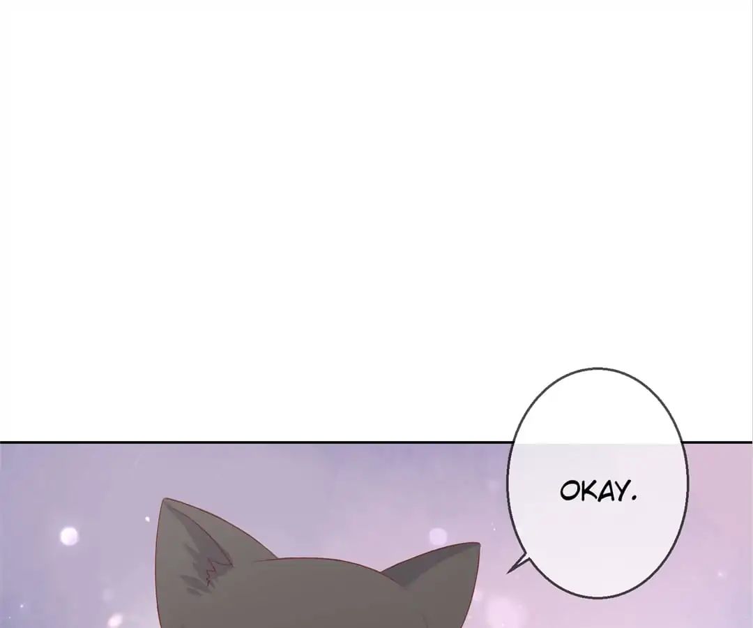 Popular Deskmate Is A Cat - Chapter 78