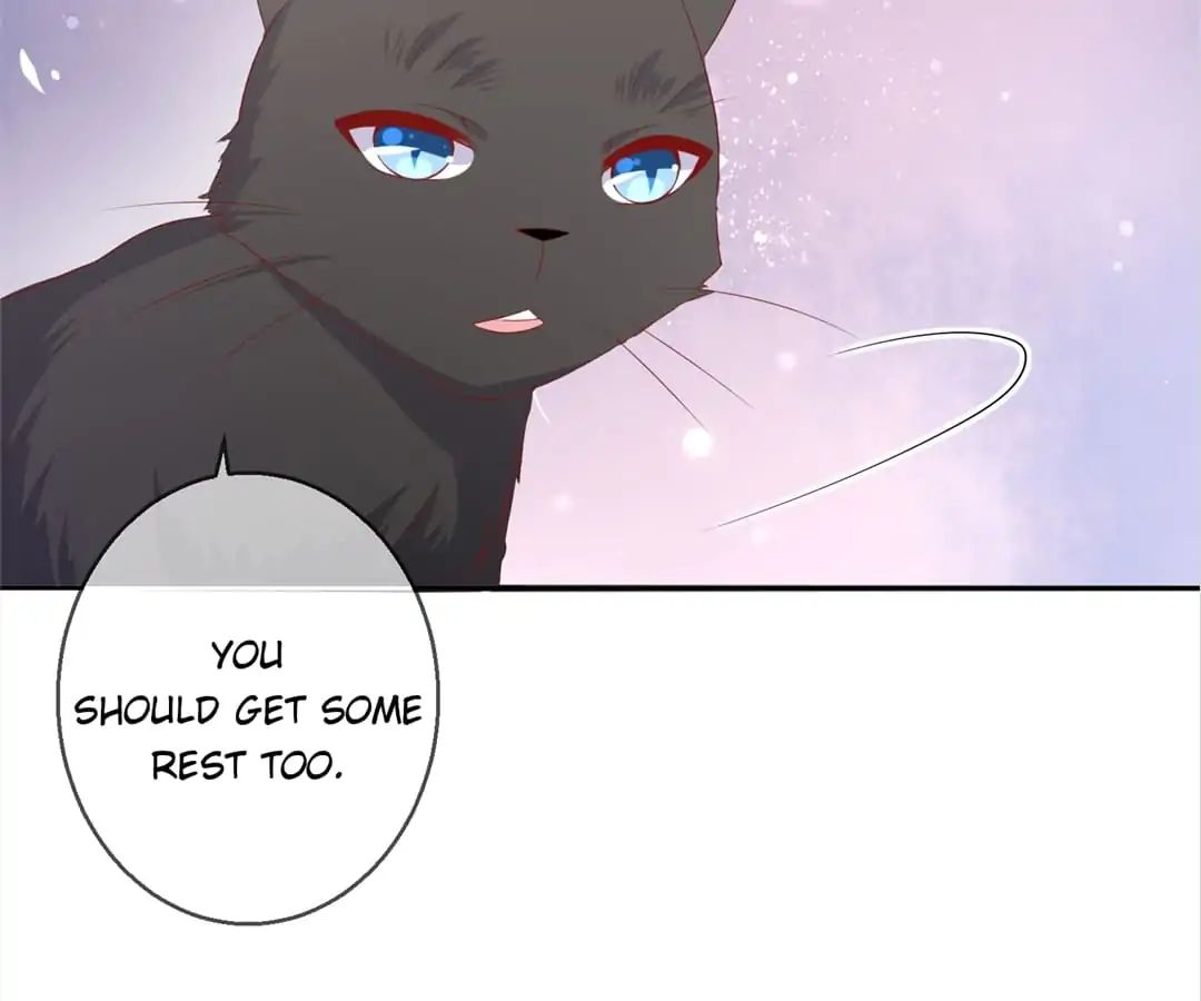 Popular Deskmate Is A Cat - Chapter 78