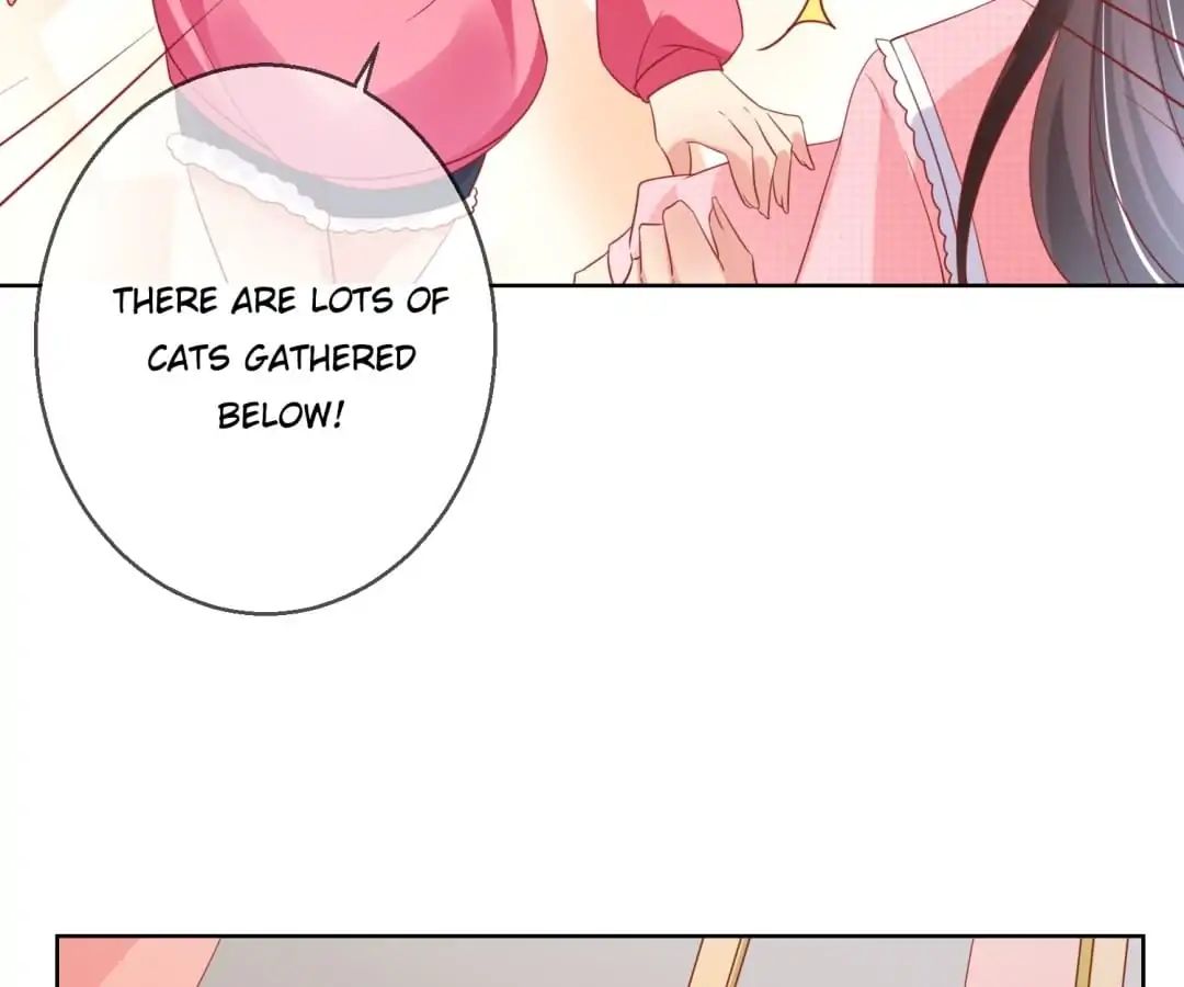 Popular Deskmate Is A Cat - Chapter 45