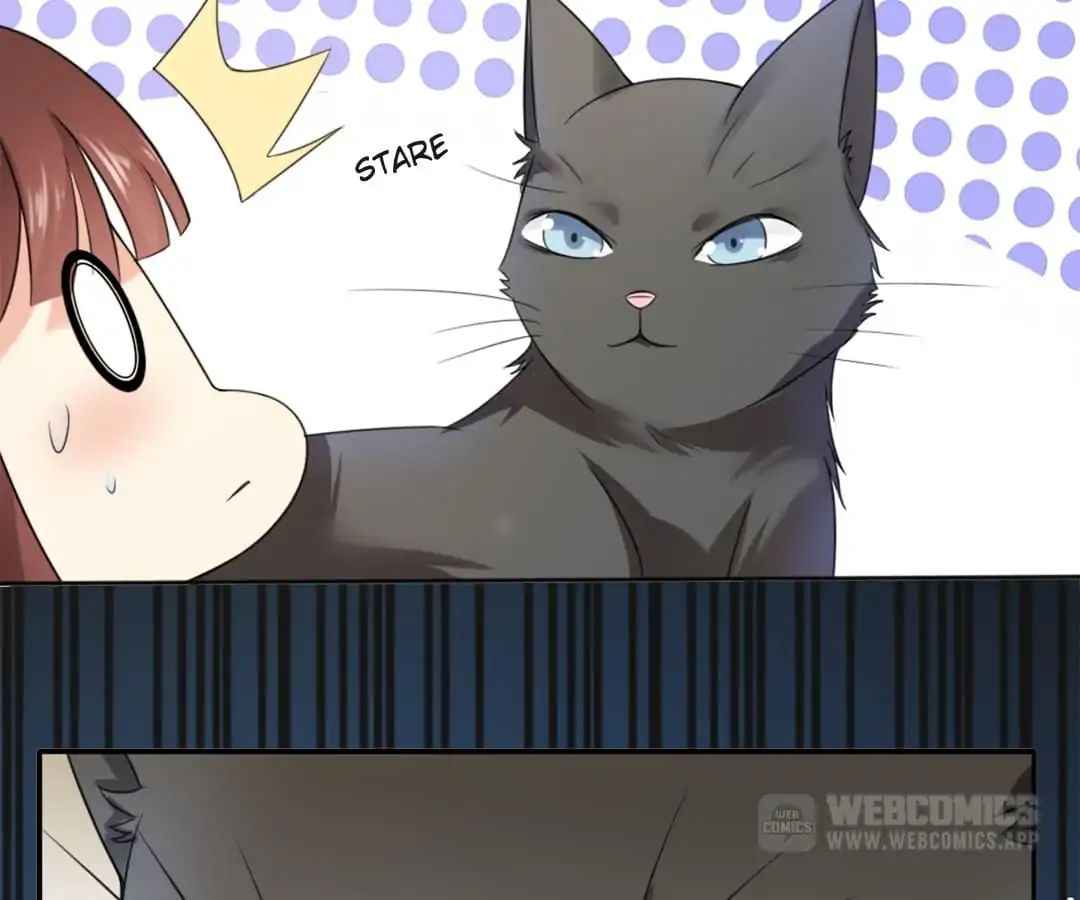 Popular Deskmate Is A Cat - Chapter 1