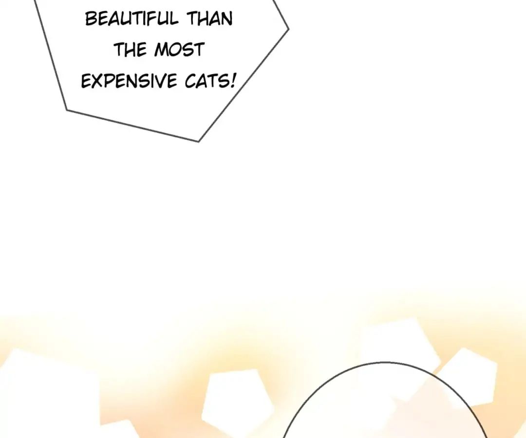 Popular Deskmate Is A Cat - Chapter 65