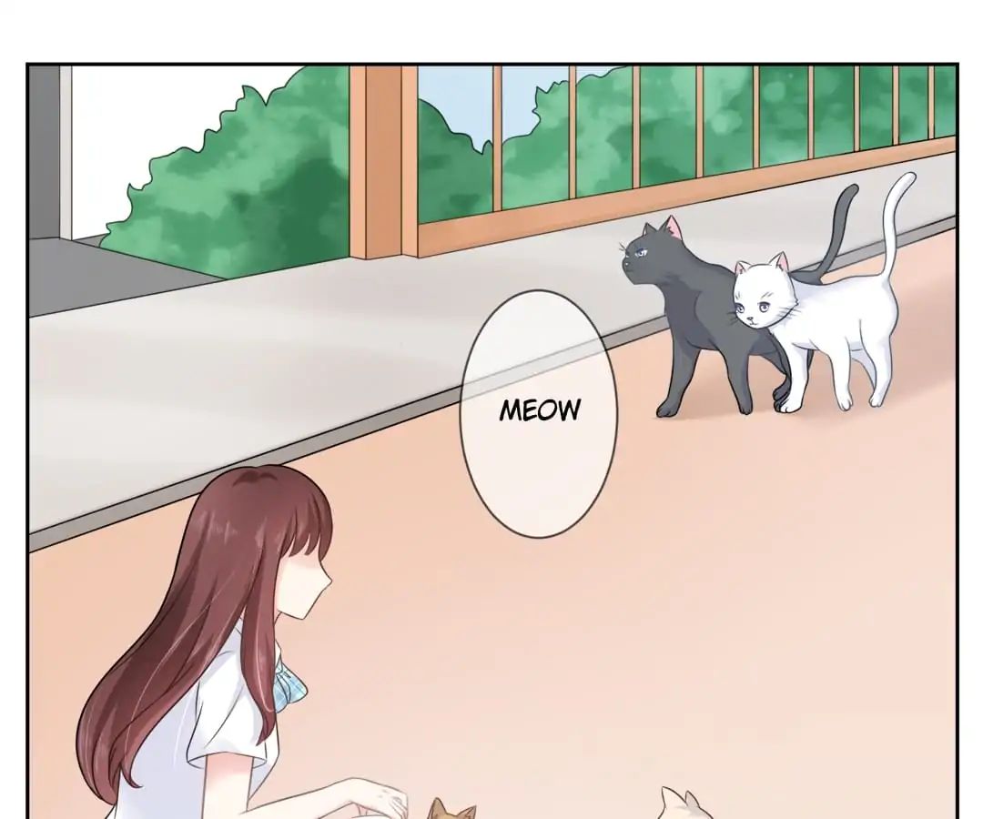 Popular Deskmate Is A Cat - Chapter 3