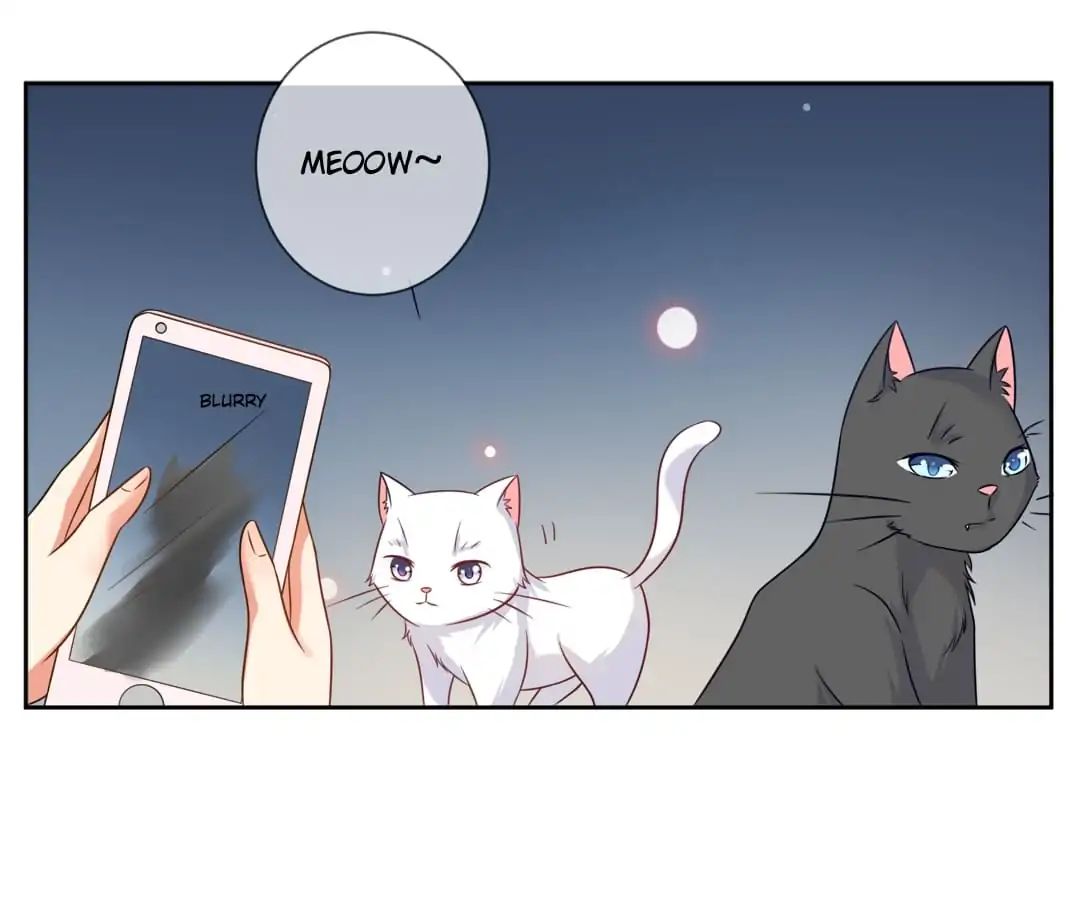 Popular Deskmate Is A Cat - Chapter 3