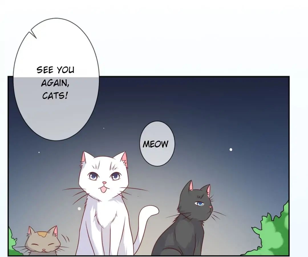 Popular Deskmate Is A Cat - Chapter 3